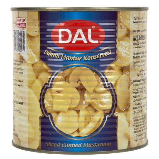 DAL DİLİMLENMİŞ MANTAR