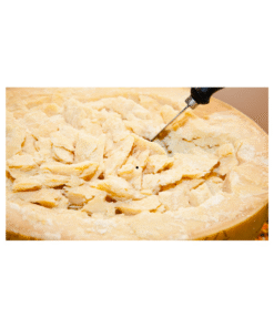 PARMESAN PEYNİR BLOK