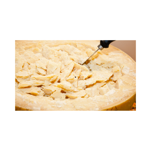 PARMESAN PEYNİR BLOK