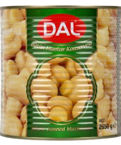 DAL BÜTÜN MANTAR