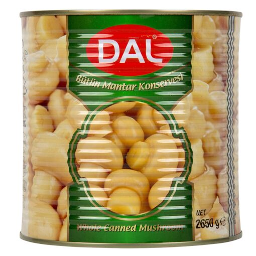 DAL BÜTÜN MANTAR